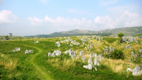 003カルストロード (2).JPG