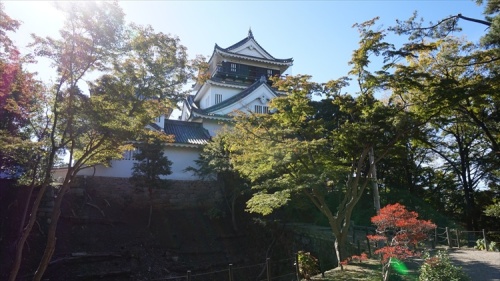 20151111 10565001.jpg