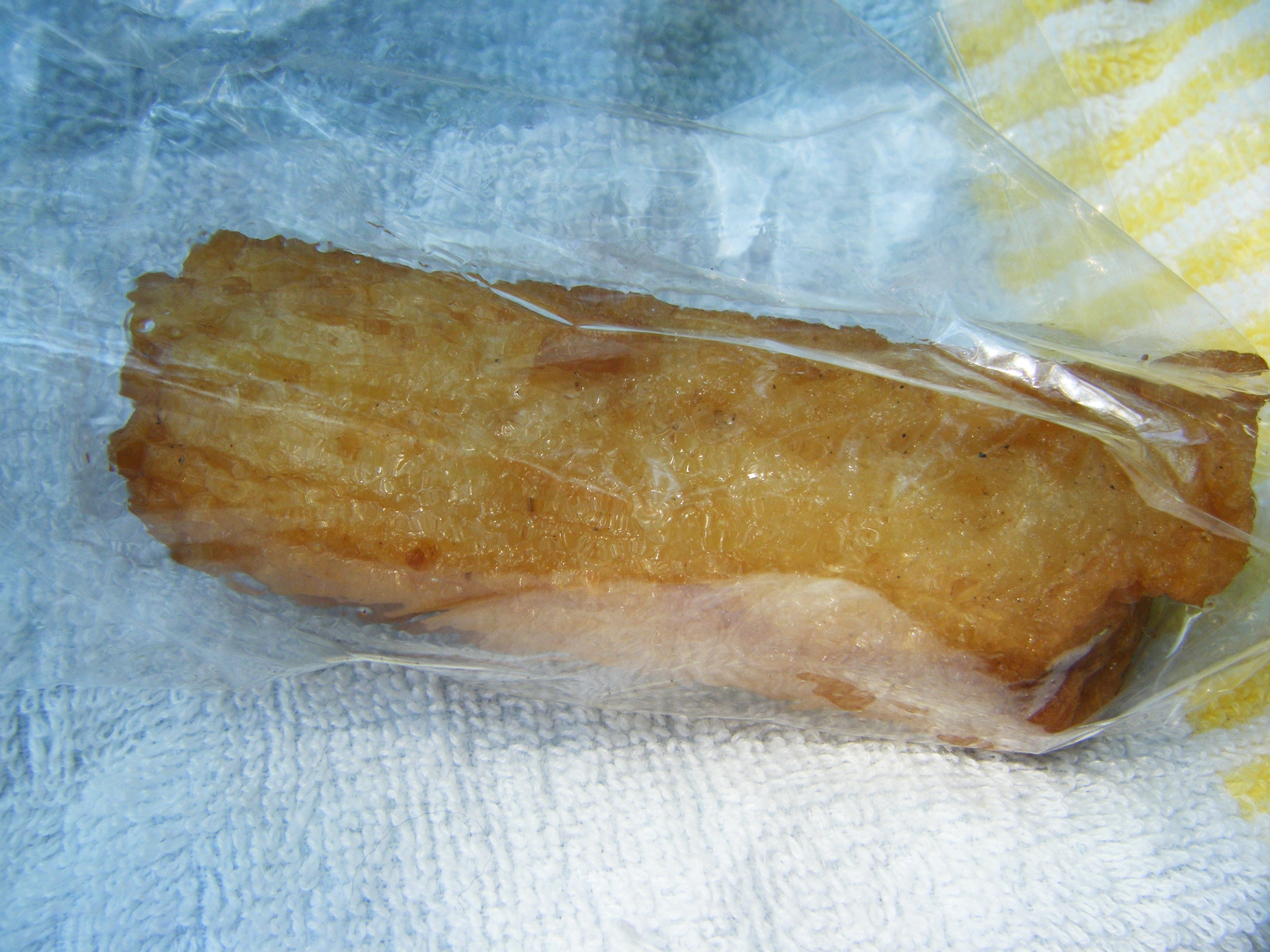 DSCF0621.jpg