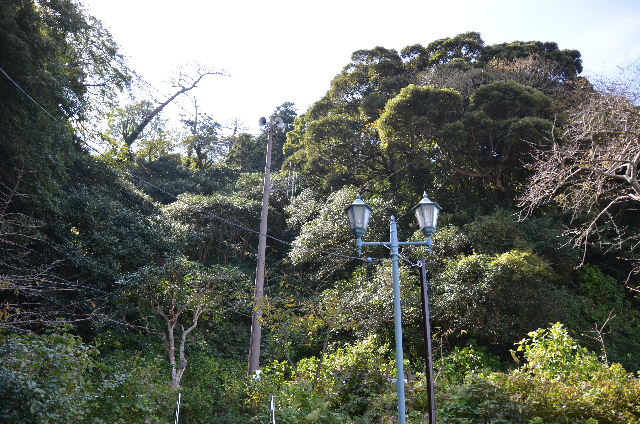 DSC_4569.JPG