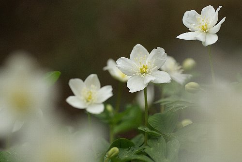 0408-4.jpg