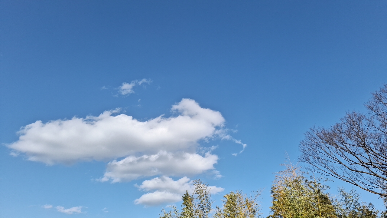 IMG_20240303_152148.jpg