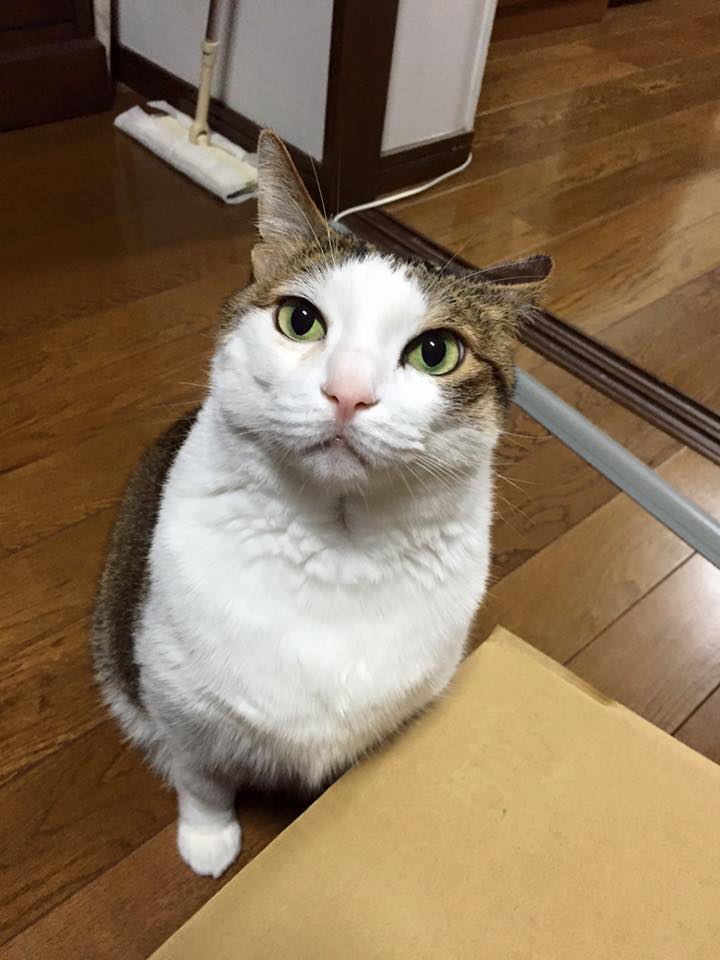 2015.12.31 ケンタ.jpg
