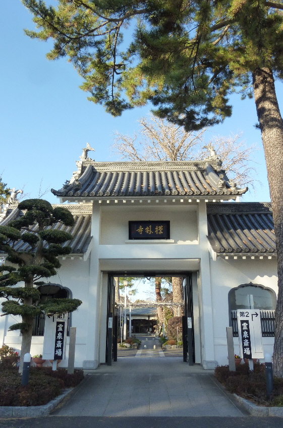 P1110527.JPG