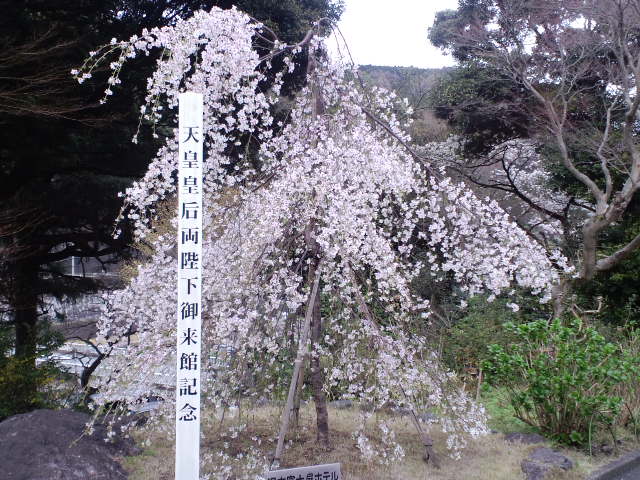CA3C0216.JPG