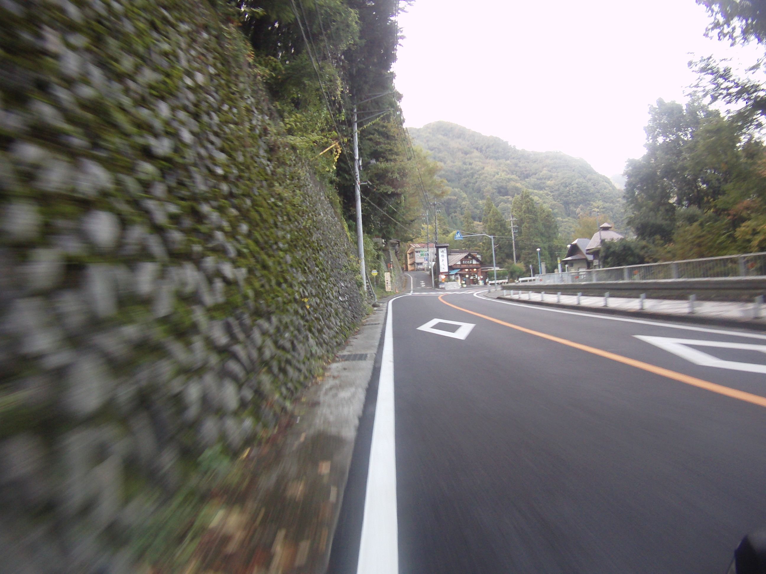FILE3804.jpg