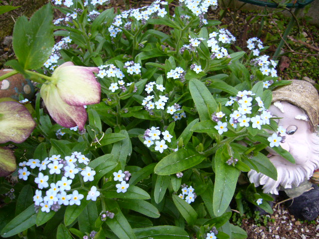 P1040174.JPG
