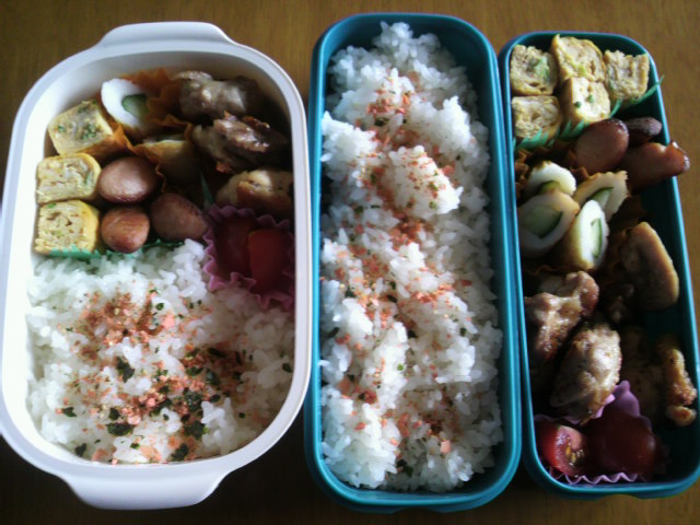 P1010464.jpg
