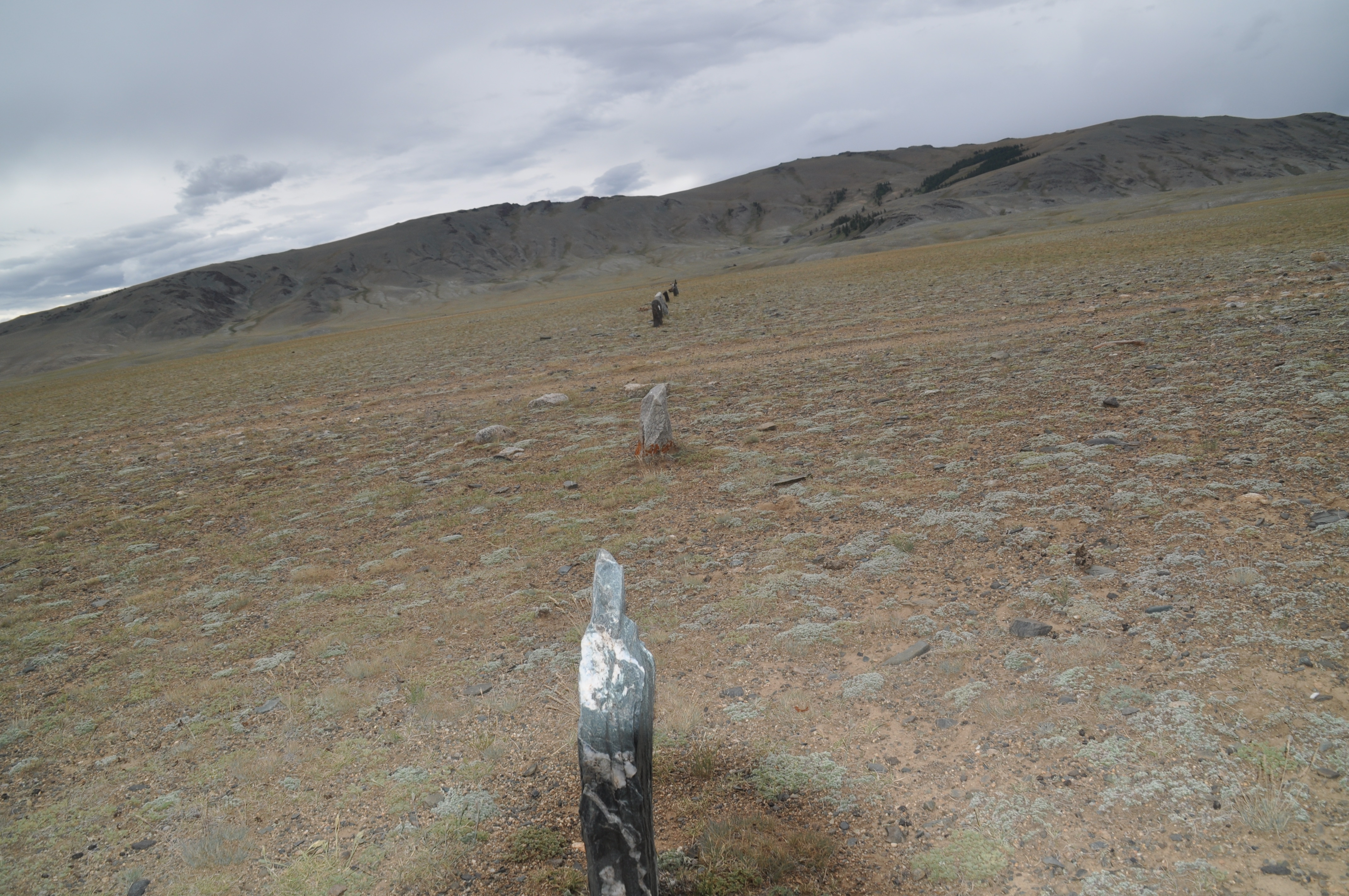 DSC_0802.JPG