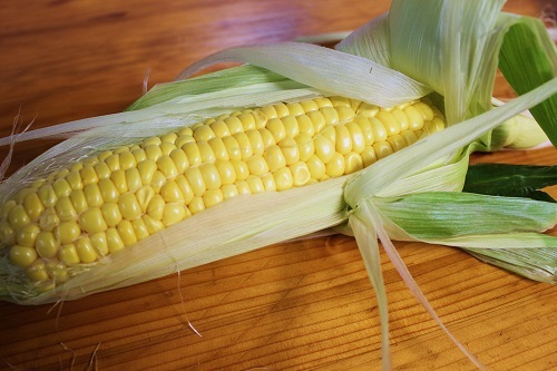 トウモロコシ.JPG