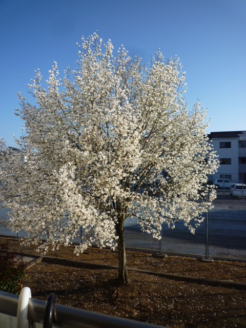 P1010821.JPG
