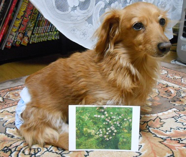 DSCN7893.JPG