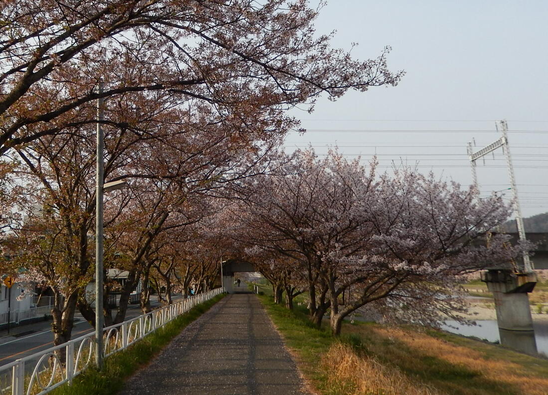 140413-1-0.jpg