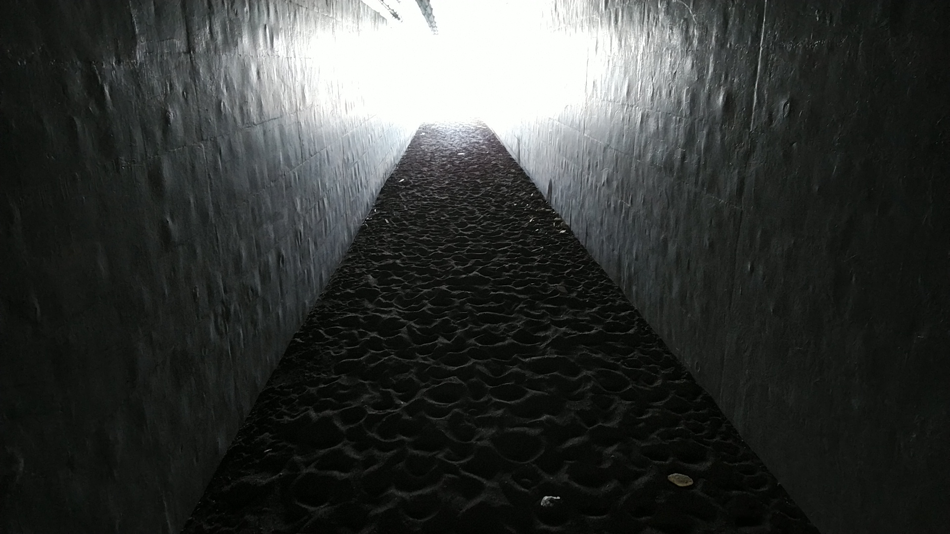 20191110  DSC_0002.jpg.jpg