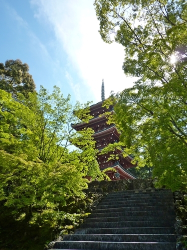 5月竹林寺31番の五重の塔10.JPG