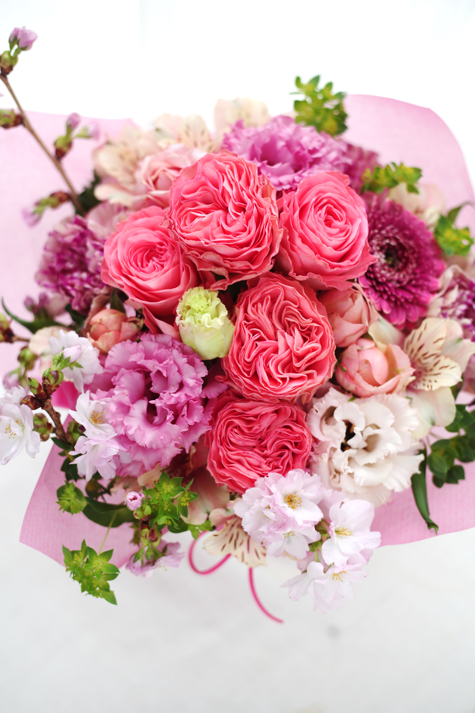 pink5500-485.jpg
