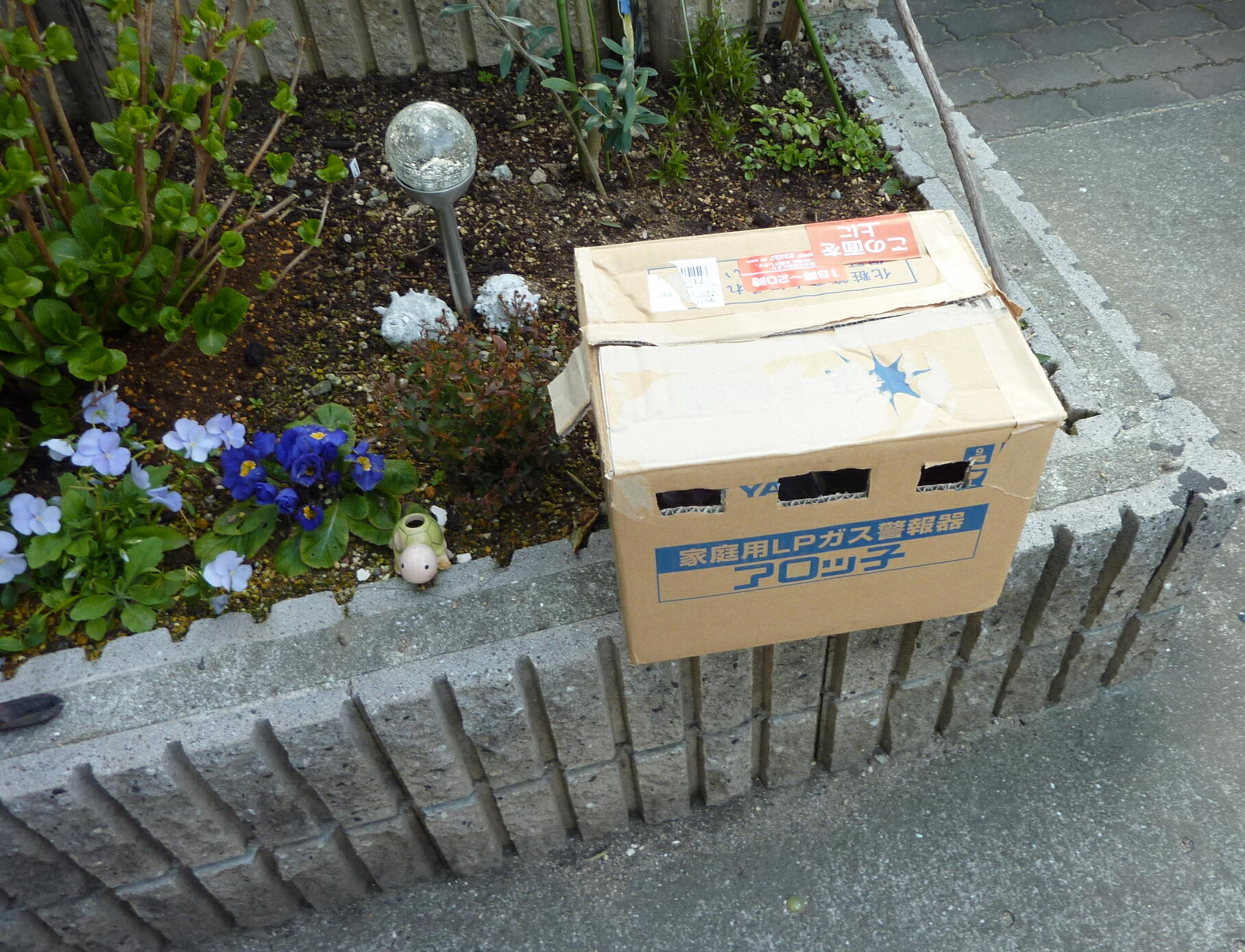 130317-sumire-5.jpg