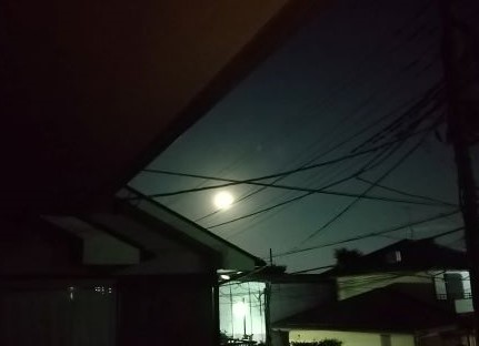 DSC_8674.JPG