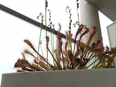 D.インターメディア6.jpg