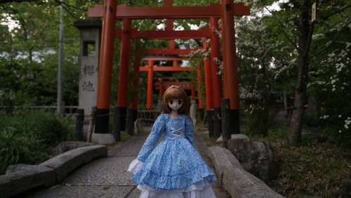 陽菜ちゃんと平野神社3.jpg