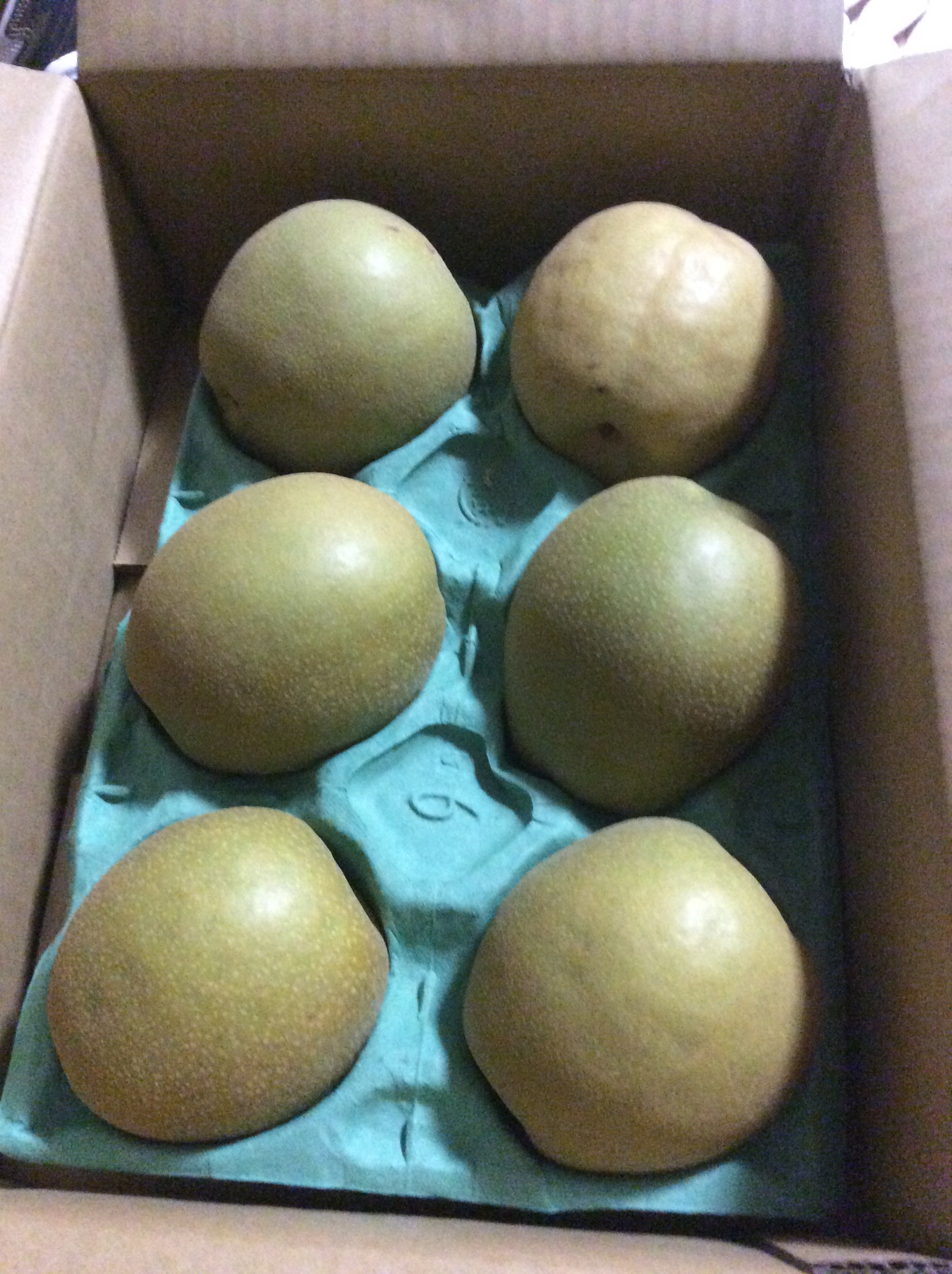 2016-09-09 22.54.33.jpg