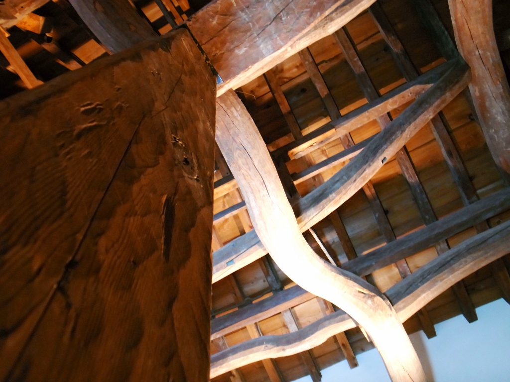 R0050447 (1024x768).jpg