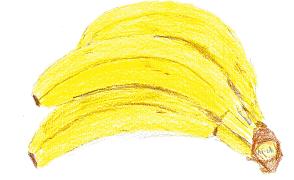 【Banana】2013.JPG