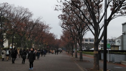 2018122330  DSC_0001.jpg