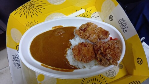 甲子園カレー＋唐揚げ.JPG
