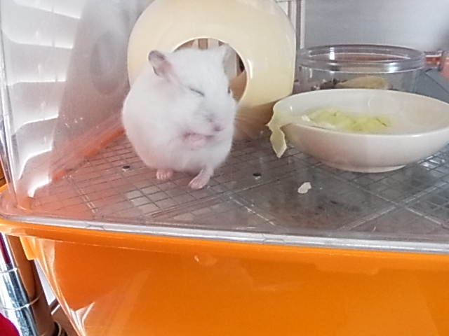 2014_06300033.JPG