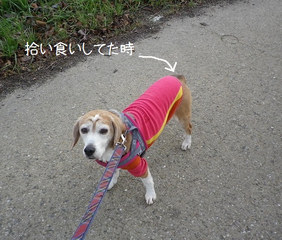 IMGP4571.JPG