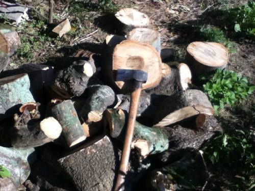 薪割り開始だ。