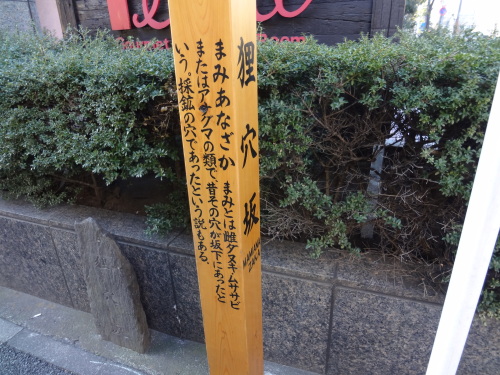 狸穴坂2.JPG