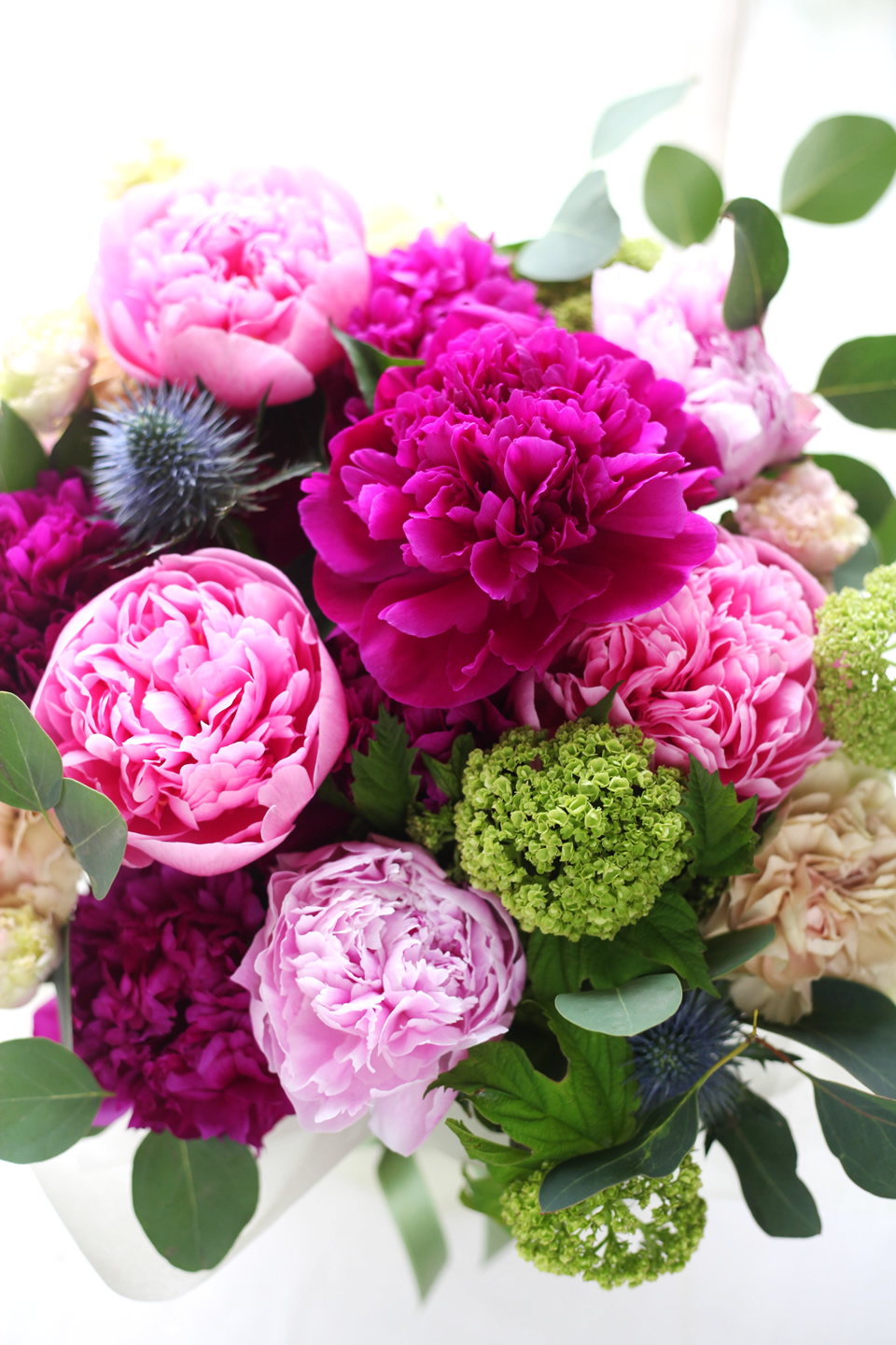 pink8800-172.jpg