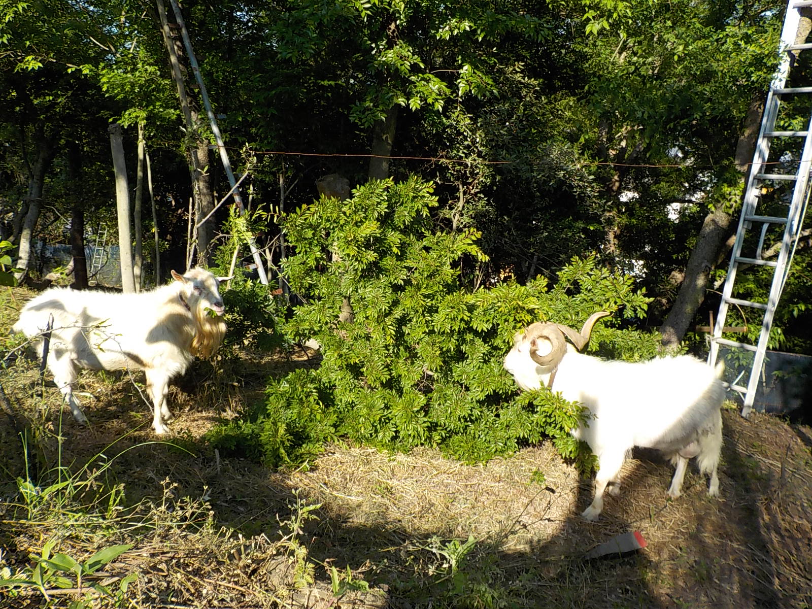 DSCN0171.JPG