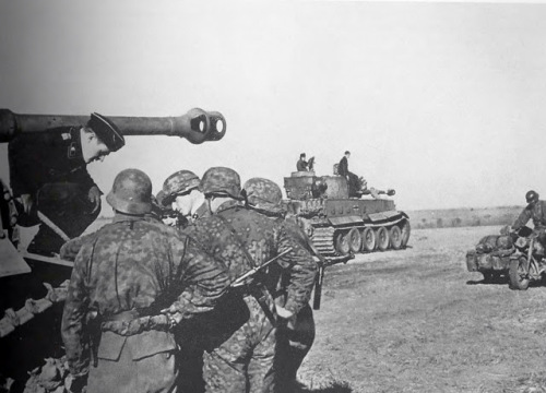 Copy of Tiger schwere panzer abteilung 503 panzer panzergrenadier regiment eicke khruschevo discussion kursk.jpg