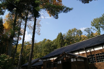 DSC01985.jpg
