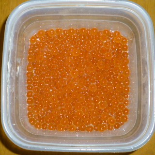 009.JPG