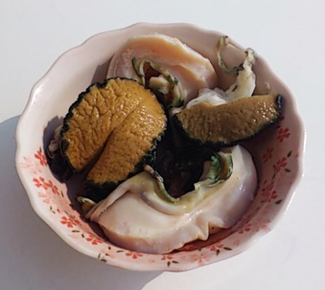 夜光貝.jpg