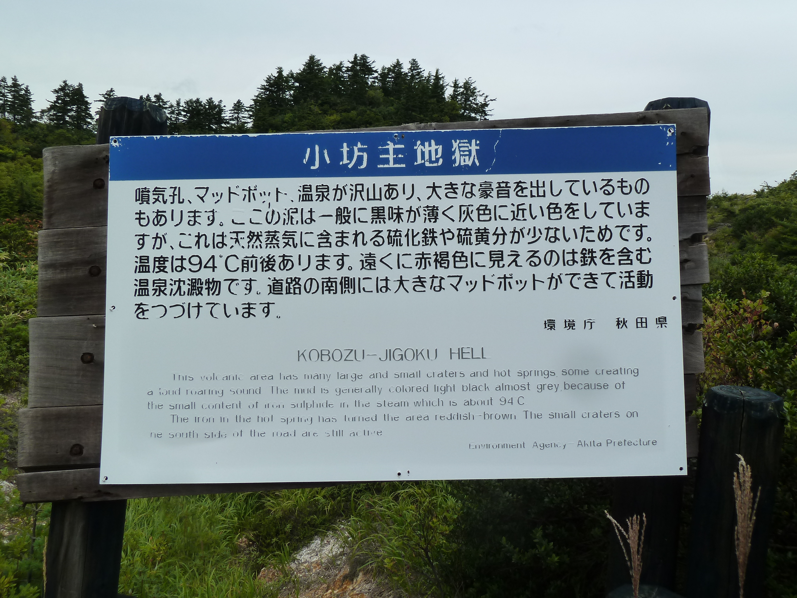 P1010410.JPG