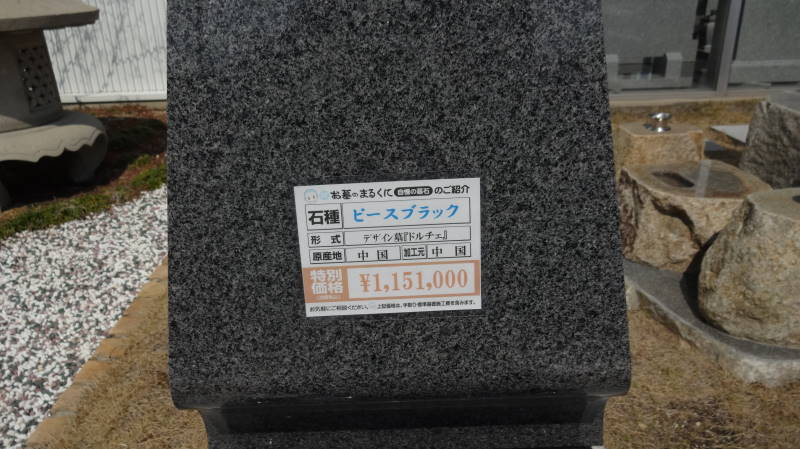 DSC08240.JPG