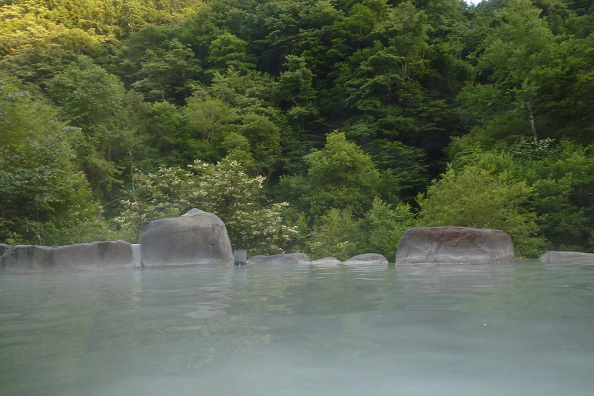 P1010207.jpg