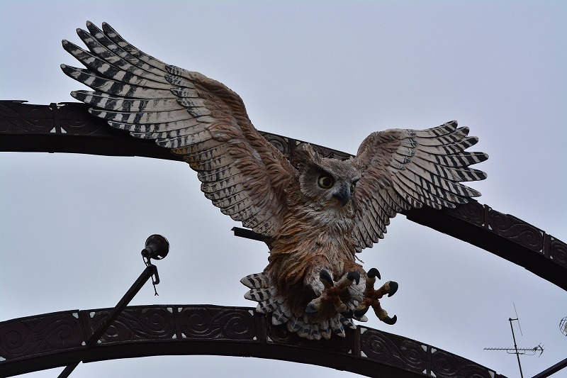DSC_0661.jpg