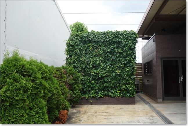 32よくわからない緑の多い空間