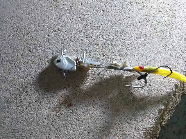 showPhoto (640×480)