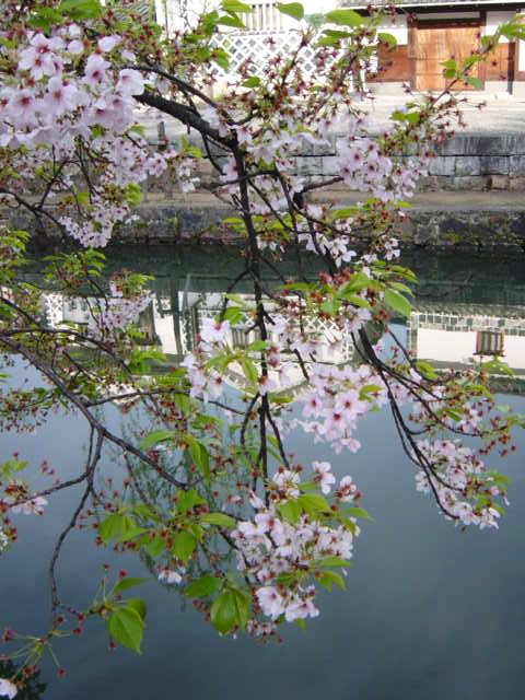 DSC06973.JPG