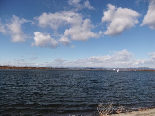 渡良瀬遊水地２