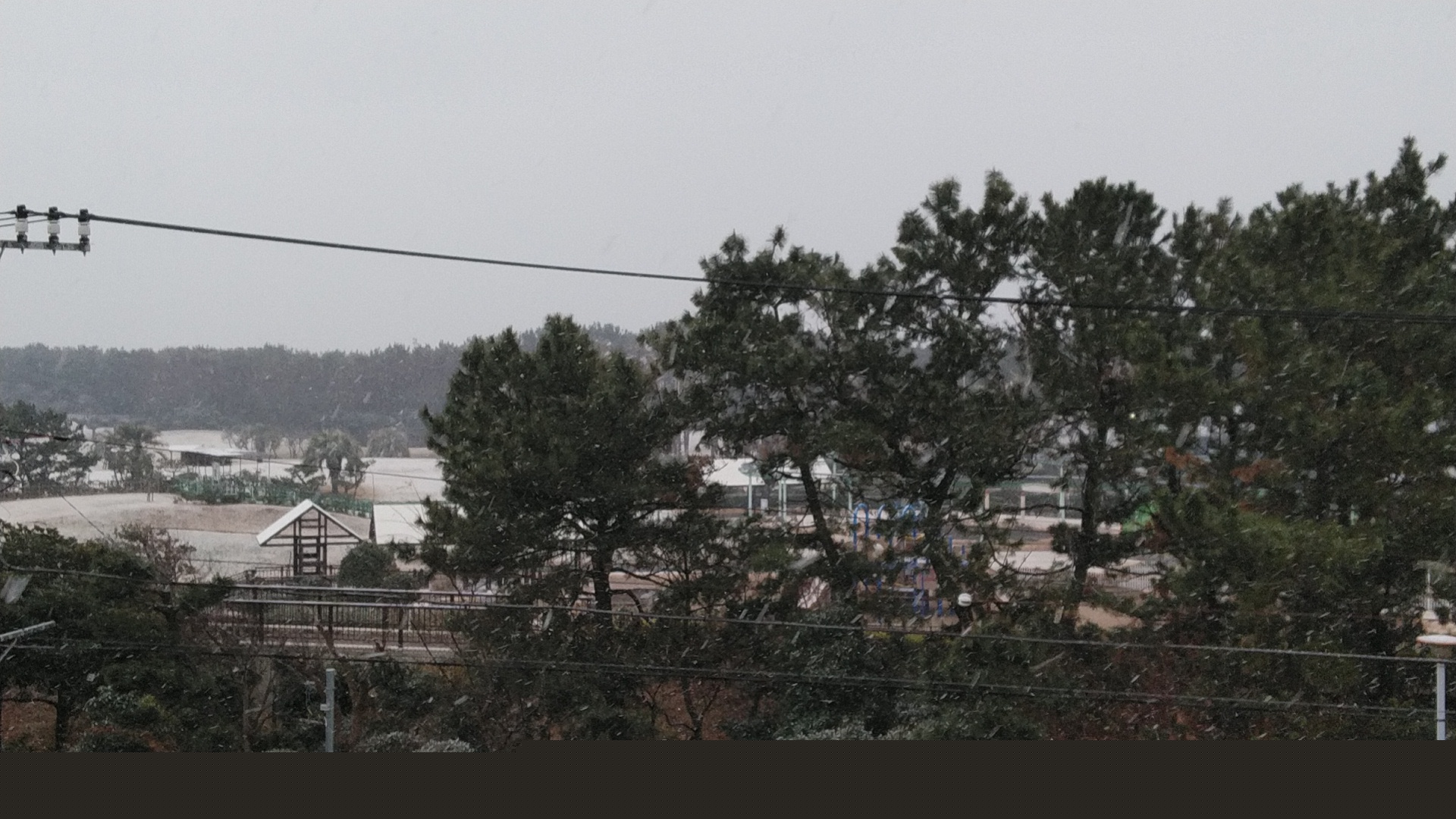 20190209  DSC_0001.jpg