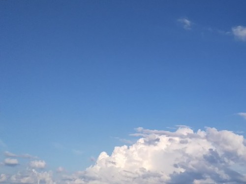 湧き上がる夏雲2021.jpg