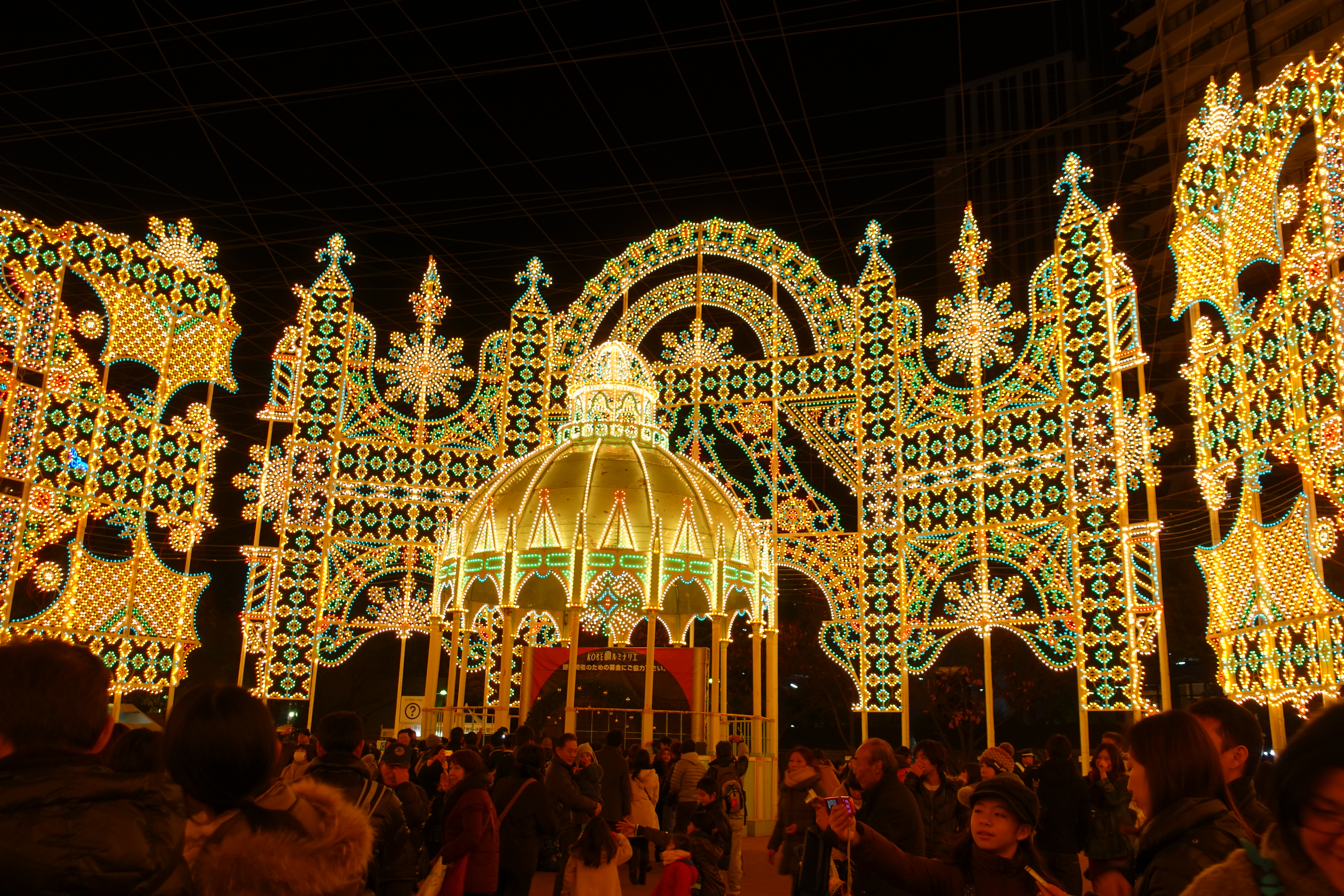 2014ルミナリエスパッリエーラ (9).JPG